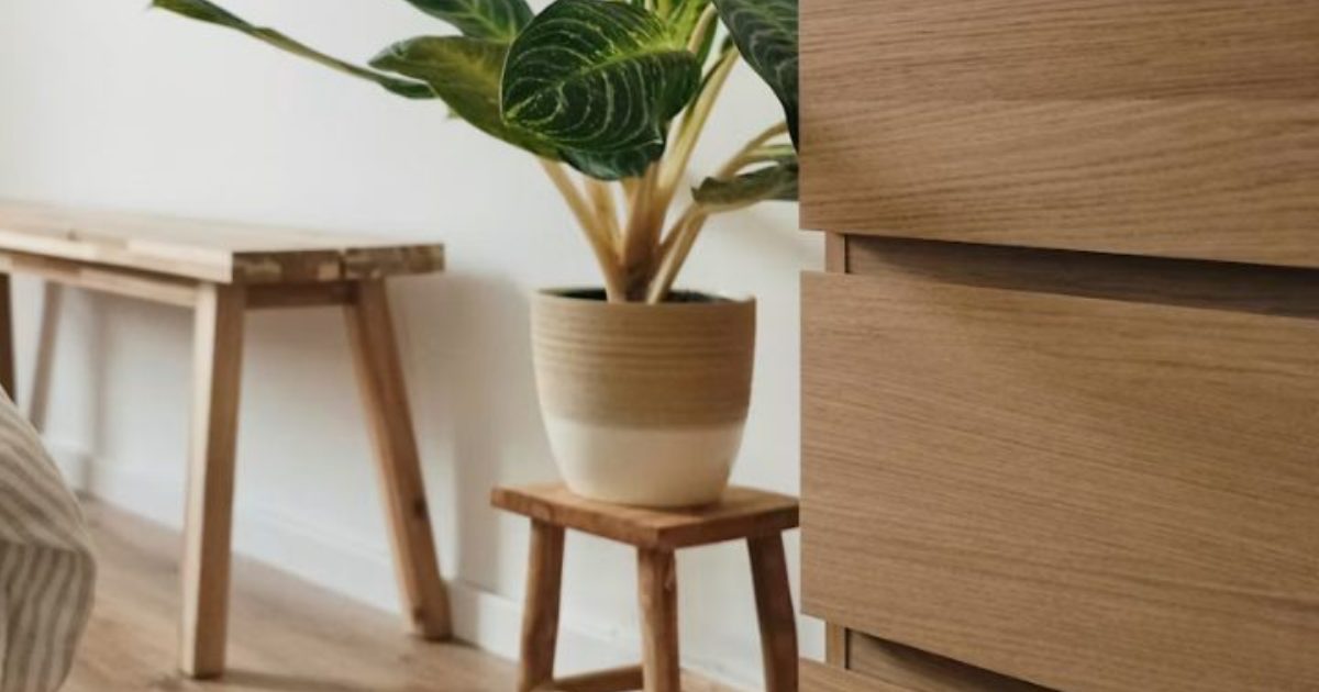 Light oak drawer fronts beside a wooden bench and a potted plant