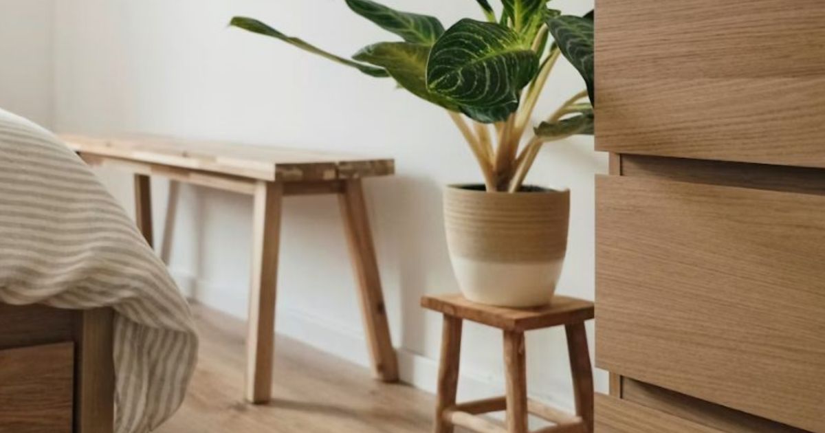 Timber bench, stool and potted plant in a calm bedroom